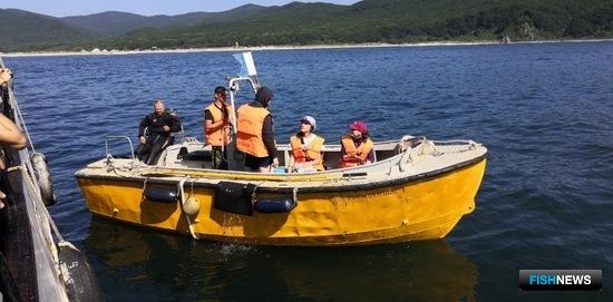 Ученые оценили штормовой вред запасам моллюсков