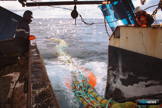 Общий вылов идет вровень с показателями 2019 года