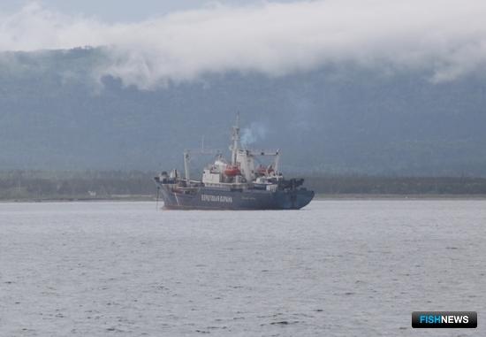 Пограничники будут руководствоваться новым регламентом Пограничники будут руководствоваться новым регламентом