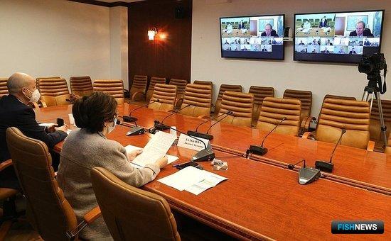 Сенаторы рекомендовали отрасли ускоренную цифровизацию