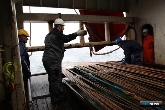 Рыбная отрасль сможет привлечь кадры из-за границы Рыбная отрасль сможет привлечь кадры из-за границы