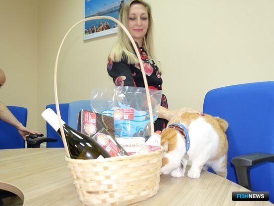 К продвижению морепродуктов Крыма привлекли знаменитого кота