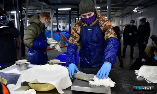 Ямальский муксун поделился икрой с рыбоводами