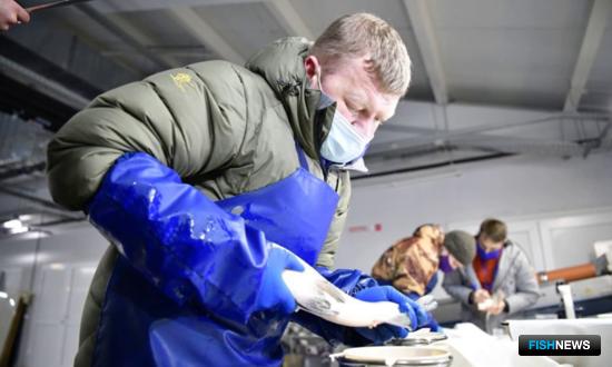 Ямальский муксун поделился икрой с рыбоводами