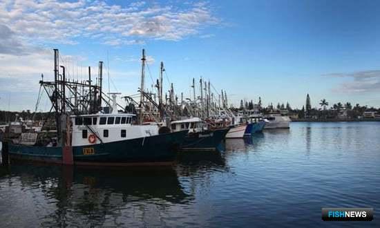 Для &laquo;лечения&raquo; морей хотят принять больше мер