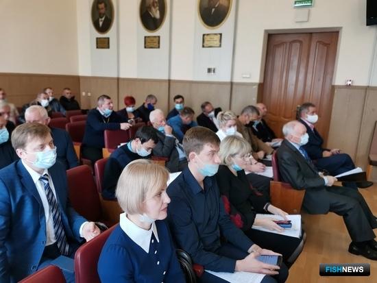 На азовскую хамсу давят медузы На азовскую хамсу давят медузы