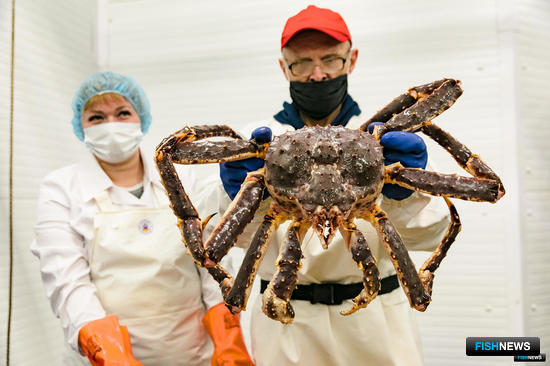 &laquo;Антей&raquo; подтвердит инвестиционные планы на Северном бассейне