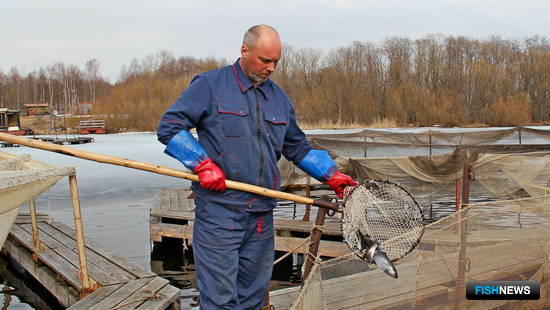 Рыбоводам Поморья помогают исследованиями озер