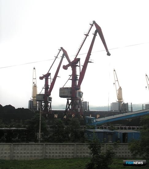 Затейливые приоритеты псевдоэкологов в Приморье Затейливые приоритеты псевдоэкологов в Приморье