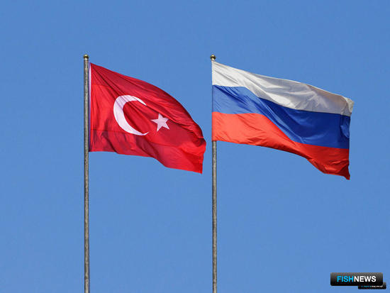 Турецкая рыба просится в Россию Турецкая рыба просится в Россию