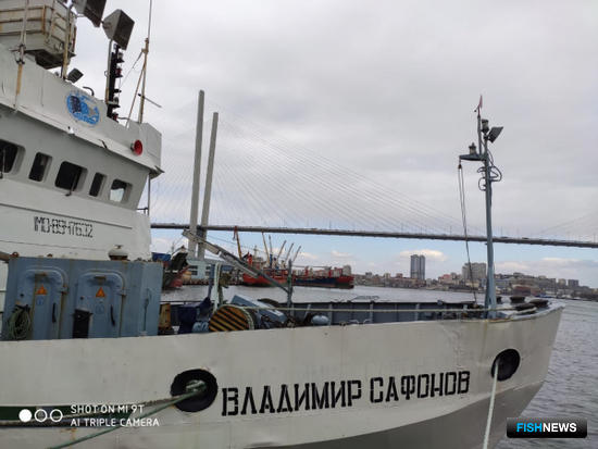 Специалисты проверили рыбные популяции Японского моря