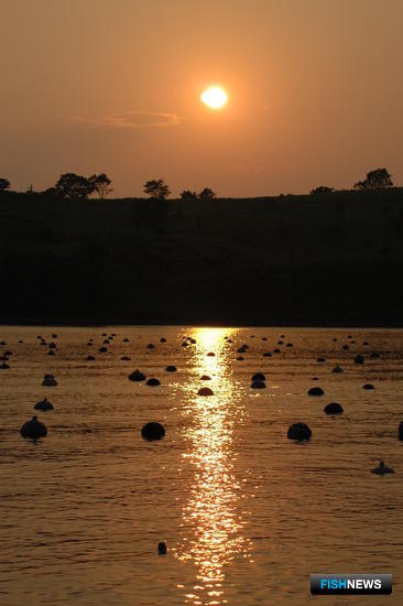 Закрепление участков для аквакультуры упорядочит регламент