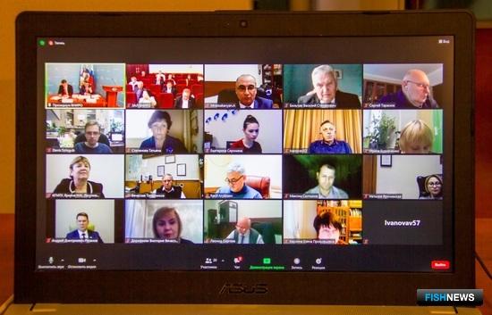 Наука уделит особое внимание экономике рыбной отрасли