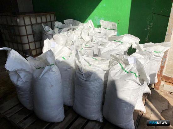 Скупщиков артемии признали пособниками браконьеров Скупщиков артемии признали пособниками браконьеров