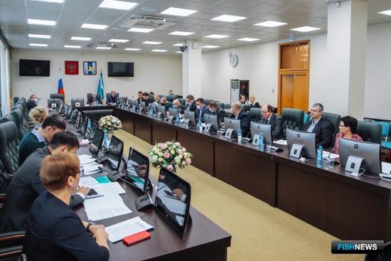 Экологи призывают запретить промысел горбуши на Сахалине Экологи призывают запретить промысел горбуши на Сахалине