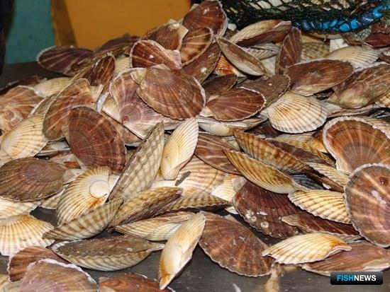 Марифермеры Приморского края улучшили показатели