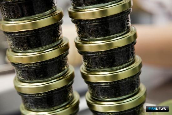 Росрыболовство готовит заслон браконьерской черной икре Росрыболовство готовит заслон браконьерской черной икре
