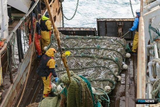 АТФ продлил сертификат MSC еще на пять лет