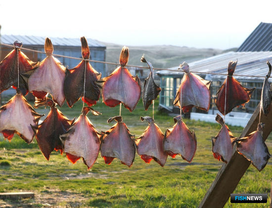 Организаторам рыбалки на Камчатке определили объемы