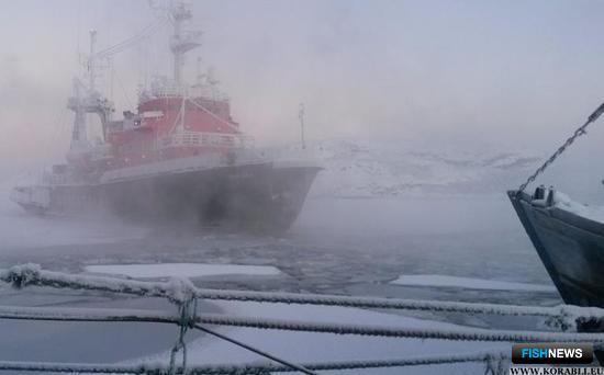 Помощью семьям рыбаков с &laquo;Онеги&raquo; займется правкомиссия