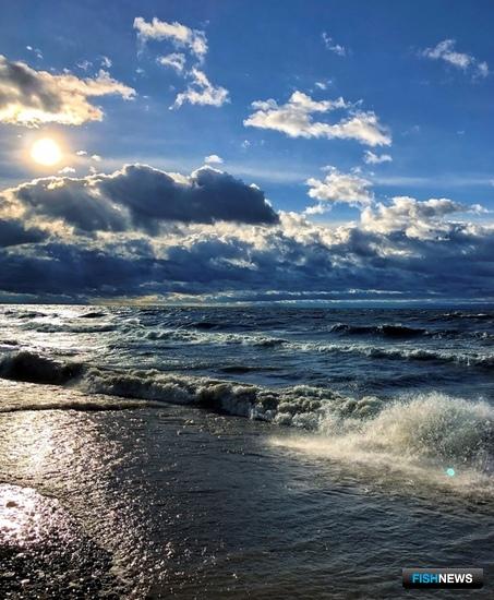 Правительство обновило список запрещенных работ на Байкале