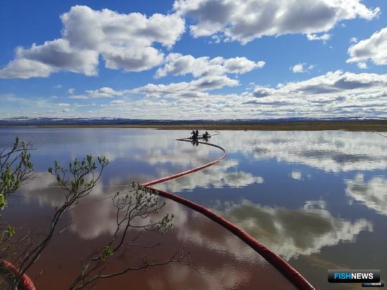 Вину энергетиков в нефтеразливе под Норильском подтвердил суд