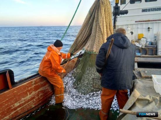 Ученые с оптимизмом смотрят на каспийскую рыбу