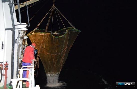 Ученые с оптимизмом смотрят на каспийскую рыбу