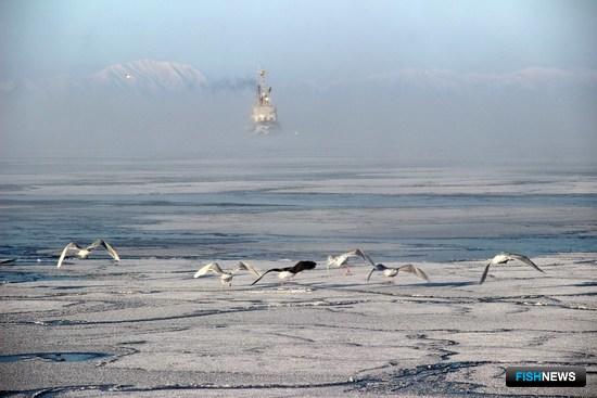 Для &laquo;регуляторной гильотины&raquo; предусмотрели исключения