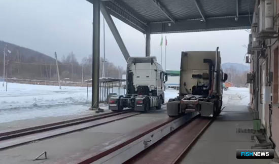 Российская таможня обещает оперативно отреагировать на решения Китая Российская таможня обещает оперативно отреагировать на решения Китая