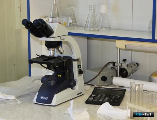 Специалисты оценили ветеринарную безопасность районов лова Специалисты оценили ветеринарную безопасность районов лова