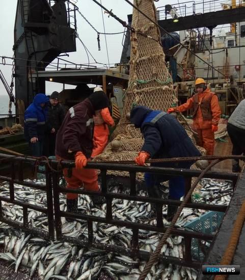 ТИНРО рассмотрит результаты исследований за год