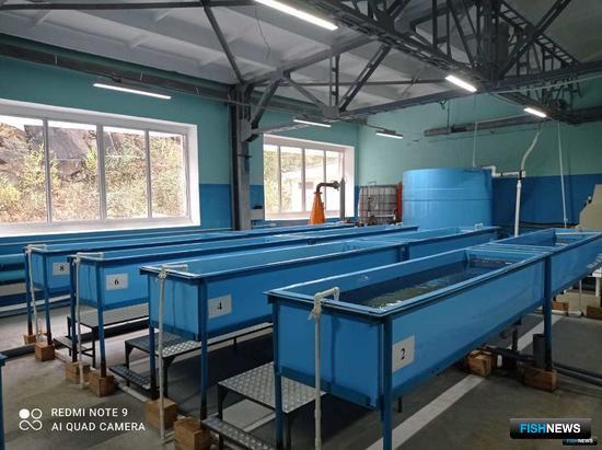 История с &laquo;коммунальной&raquo; субсидией получила продолжение