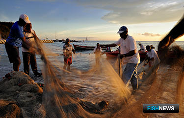 США готовят удар по браконьерам Южной Америки США готовят удар по браконьерам Южной Америки
