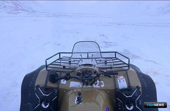 Север нацпарка «Берингия» стало удобнее охранять