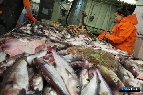 Ученые оценили запасы Баренцева моря