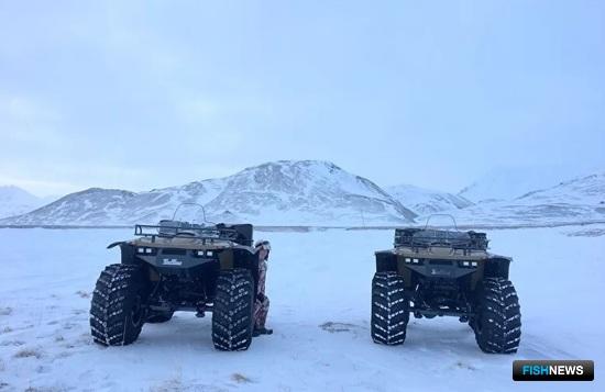 Север нацпарка «Берингия» стало удобнее охранять