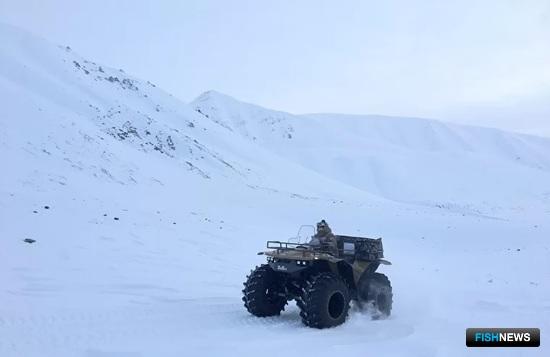 Север нацпарка «Берингия» стало удобнее охранять