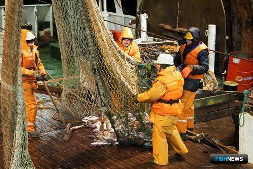 Ученые оценили запасы Баренцева моря