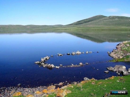 ЕС поможет оценить рыбоводный потенциал Грузии