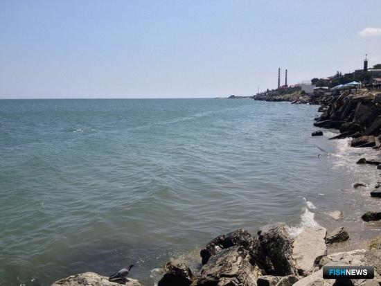 Махачкала &laquo;удобрила&raquo; Каспий грязными стоками