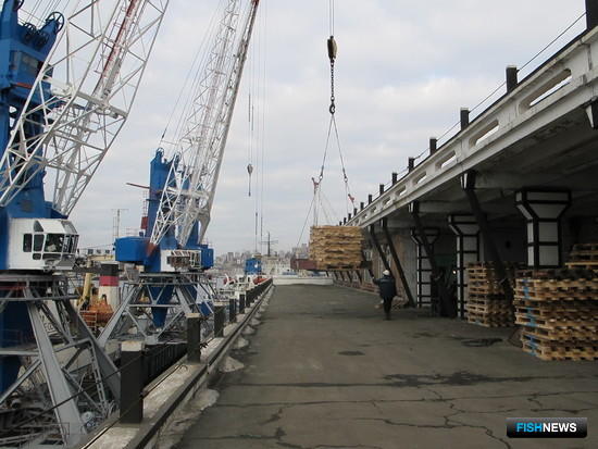 Экспортеров рыбы проконсультируют по требованиям безопасности