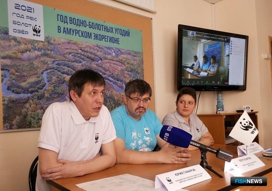 Зачем нужны болота? Зачем нужны болота?