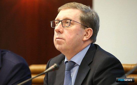 Сенаторы займутся поиском рыбы на внутреннем рынке