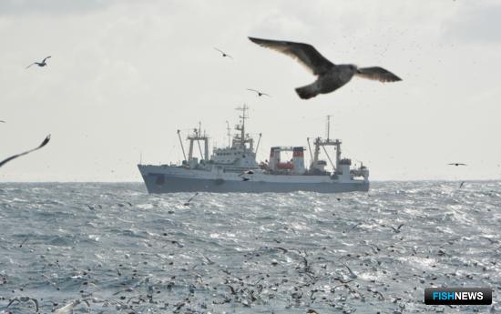 Правкомиссия обсудила поддержку рыбной отрасли в пандемию Правкомиссия обсудила поддержку рыбной отрасли в пандемию