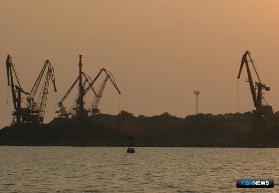 Россия готовит механизмы для реализации антибраконьерского соглашения