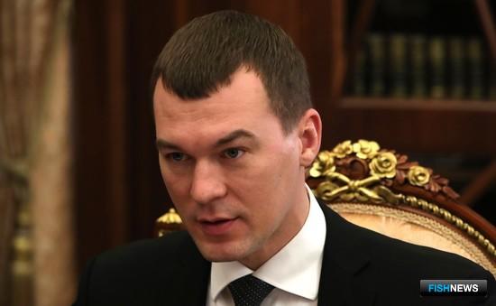 Сохранению Амура могут посвятить федеральный проект