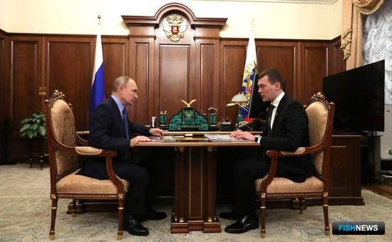 Сохранению Амура могут посвятить федеральный проект