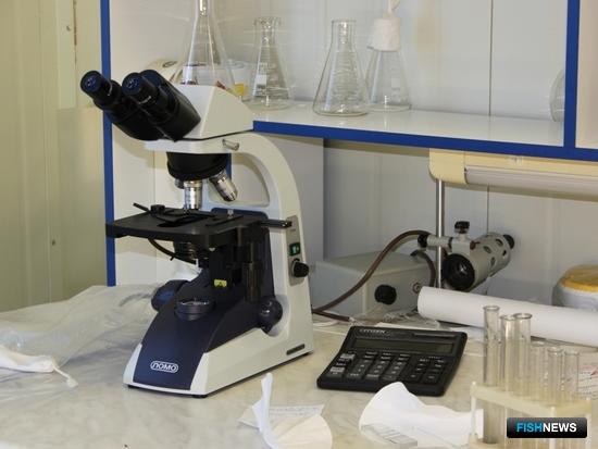 Экспортеров приглашают на горячую линию