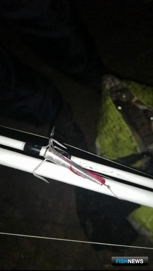 Багрению рыбы помешала гражданская бдительность Багрению рыбы помешала гражданская бдительность